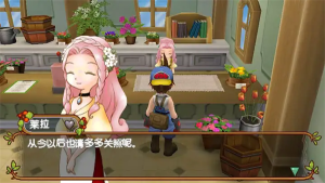 牧场物语蜜糖村