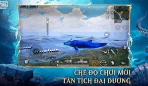 pubg mobile越南服下载-pubg mobile越南服手游下载 게임 스크린샷 5