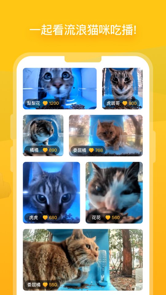 哈啰街猫app下载安装-哈啰街猫最新版下载v1.23.0 게임 스크린샷 3