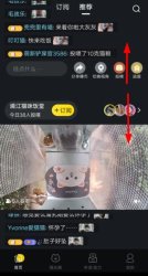 哈啰街猫最新版