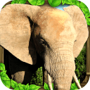大象模拟器(elephant sim)下载 v1.2