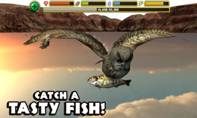 猫头鹰模拟器(owl simulator)下载 v1.0 游戏截图 1