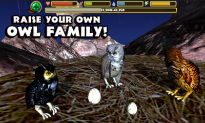 猫头鹰模拟器(owl simulator)下载 v1.0 游戏截图 2