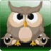 愤怒的猫头鹰下载 v1.0