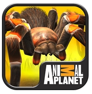 ھەقىقىي قورقۇنچلۇق ئۆمۈچۈكلەر - ھەقىقىي قورقۇنچلۇق ئۆمۈچۈكلەر (ۋىرتۇئال ھايۋانلارنى بېقىش) v1.3.3 نى چۈشۈرۈڭ