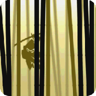影子忍者游戏下载-影子忍者(忍者酷跑) Ninja Das Sombras Full下载 v1.0