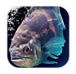 逃脱游戏:死亡岛(Death Island)下载 v1.2