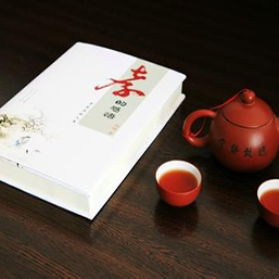 文学也疯狂(记忆游戏)下载 v1.0