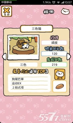 猫咪后院免费下载-猫咪后院中文版下载 游戏截图 1