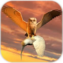 Clan of Owls тоглоомыг татаж авах - Clan of Owls (амьтны симуляци) v1.0
