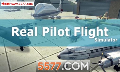 真正的飞行员飞行模拟器3D(真实飞行)Real pilot flight simulator 3D下载 v1.3 游戏截图 1