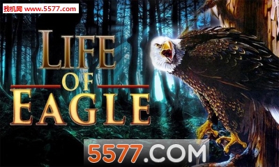 鹰的生命游戏下载-鹰的生命(老鹰模拟) Life Of Eagle下载 v1.5 游戏截图 1