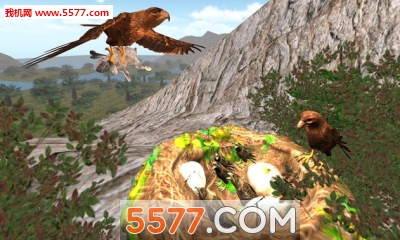 鹰的生命游戏下载-鹰的生命(老鹰模拟) Life Of Eagle下载 v1.5 游戏截图 2