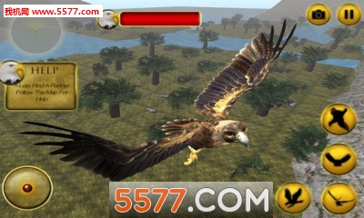 鹰的生命游戏下载-鹰的生命(老鹰模拟) Life Of Eagle下载 v1.5 游戏截图 3