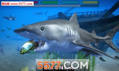 究极鲨鱼模拟游戏下载-究极鲨鱼模拟器手机版(鲨鱼模拟生存)Ultimate Shark Simulator下载 v1.0.3安卓版 게임 스크린샷 2