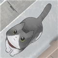 丢失的猫游戏下载-丢失的猫安卓版下载