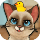 Machocat (Галзуу муурны гэрийн тэжээвэр амьтдын симулятор) v1.07 Андройд хувилбарыг татаж авах - Гэрийн тэжээвэр муурны симулятор тоглоомыг татаж авах