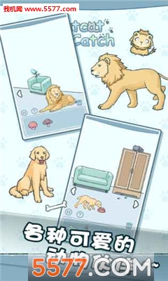 躲猫猫游戏下载-CatCatCatch(躲猫猫安卓版)下载 v1.3 游戏截图 2