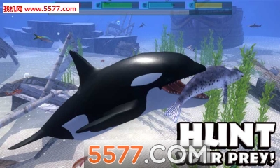 终极海洋模拟器游戏下载-UltOceanSim(终极海洋模拟器安卓版)下载 v1.1 游戏截图 3