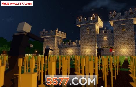 Colony Survival手机版下载-Colony Survival(多人联机)下载 v1.1 游戏截图 1