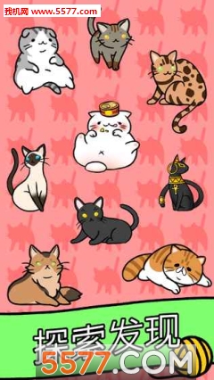 猫咪公寓游戏下载-猫咪公寓官方版(Cat Condo)下载 v1.0 게임 스크린샷 2
