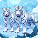 白虎家庭游戏下载-白虎家庭安卓版下载 v1.3.1