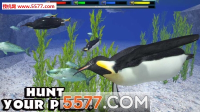 终极北极模拟器下载-终极北极模拟器安卓版(ArcticSim)下载 v1.1 ئويۇن سۈرىتى 1
