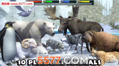 终极北极模拟器下载-终极北极模拟器安卓版(ArcticSim)下载 v1.1 ئويۇن سۈرىتى 4