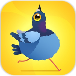 疯狂鸽子游戏下载-Pigeon(疯狂鸽子安卓版)下载