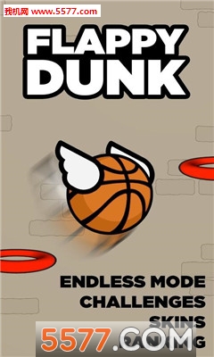 飞翔投篮游戏下载-Flappy Dunk(飞翔投篮完美版)下载 游戏截图 5