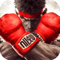 Street Fighter татаж авах - Street Fighter-ийн Android хувилбарыг татаж авах