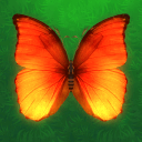 Butterfly Elimination тоглоомыг татаж авах - Butterfly Elimination тоглоомын Андройд хувилбарыг татаж авах