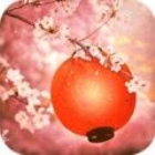 Cherry Blossom Festival тоглоомыг татаж авах - Cherry Blossom Festival-аас Escape Android хувилбар v1.0.0