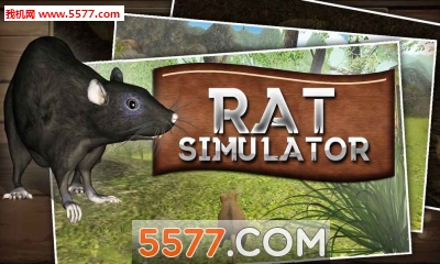 家鼠模拟器游戏下载-家鼠模拟器(Home Rat simulator)安卓版下载 游戏截图 4