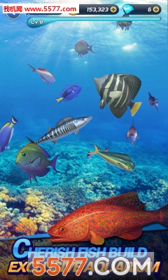 钓鱼热发烧手游下载-Fishing Fever(钓鱼热发烧安卓版)下载 v1.0.3128 Тоглоомын зураг 3