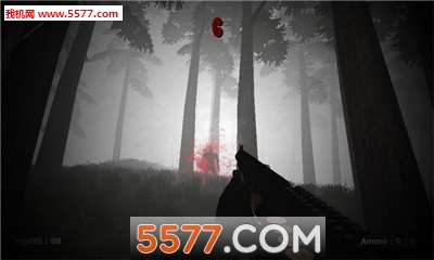被诅咒的神秘森林游戏下载-Misty Forest 2(被诅咒的神秘森林手机版)下载 ئويۇن سۈرىتى 1