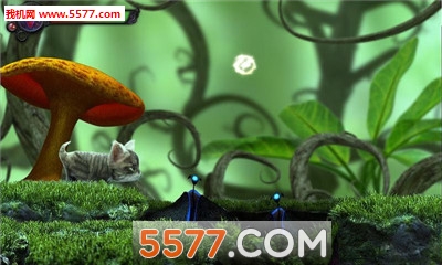 猫咪追寻神秘探险游戏下载-猫咪追寻神秘探险手机版(Kitty Quest)下载 游戏截图 4