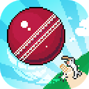 强大的棒球游戏下载-强大的棒球安卓版(Mighty Cricket)下载 v1.0.1