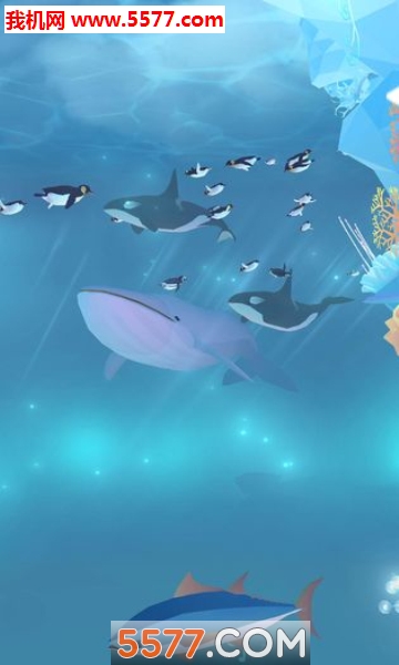 深海水族馆极地安卓版