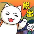 猫与秘密宝藏游戏下载-猫与秘密宝藏安卓版下载 v1.01