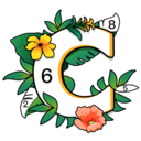 涂色小画家游戏下载-涂色小画家安卓版下载 v1.7.19