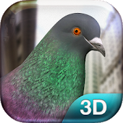 "Би хөөрхөн тагтаа" тоглоомыг татаж аваарай - Андройд хувилбар (Pigeon Simulator) v1.0