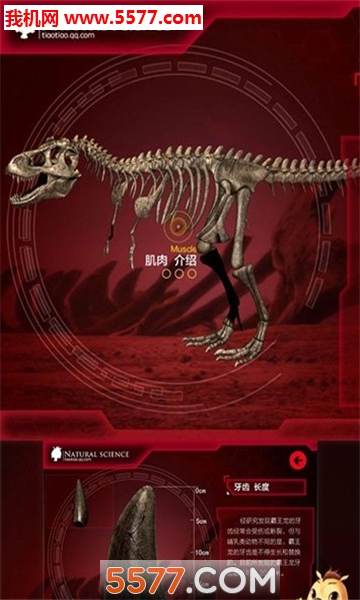 饥饿的霸王龙游戏下载-Hungry T-Rex: Island Dinosaur Hunt(饥饿的霸王龙安卓版)下载 v0.2 游戏截图 1