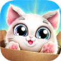 口袋小猫游戏下载-口袋小猫安卓版下载 v1.0.4