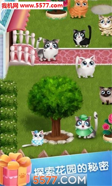 口袋小猫游戏下载-口袋小猫安卓版下载 v1.0.4 ئويۇن سۈرىتى 3