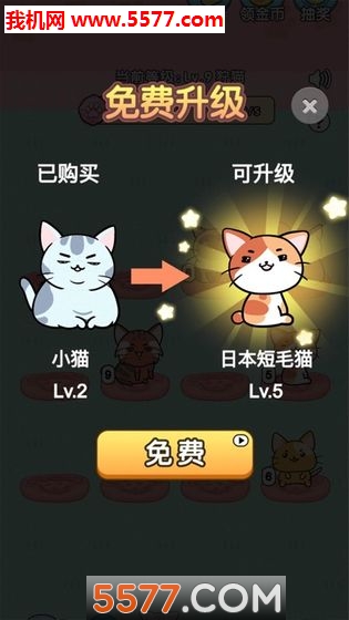 我的小猫花花游戏下载-我的小猫花花app下载 v1.0 游戏截图 1