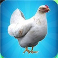 我的雞模擬器遊戲下載-My Chicken Simulator(我的雞模擬器安卓版)下載 v1.0