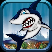 Feed The Baby Shark游戏下载-Feed The Baby Shark安卓版(吃货小鲨鱼)下载