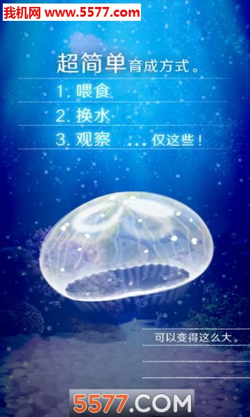 养育水母的治愈游戏下载-养育水母的治愈游戏中文版(水母养成)下载 v4.4 游戏截图 3