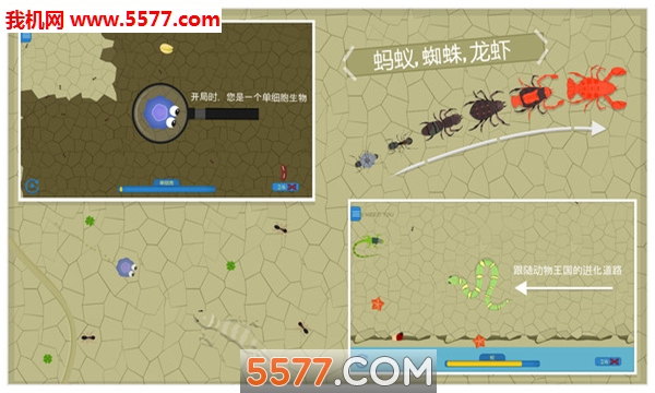 动物进化论游戏下载-动物进化论中文版下载 v1.0.5.3官方版 游戏截图 2